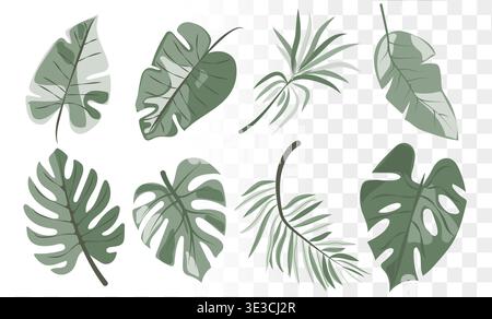 Modern Botanical Leaf Vector Set Minimalist Monstera Palm Foliage. Professional Hand-Drawn Elements for Organic Branding, Eco-Packaging Wellness Stock Vector