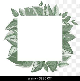 Modern Botanical Square Frame Minimalist Dusty Sage Green Leaves for Organic Skincare Branding, Wellness Identity and Wedding Invitations. Clean Paths Stock Vector