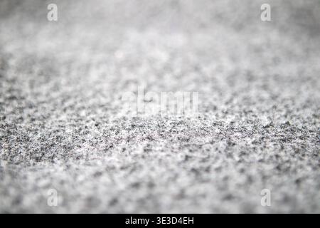 Close-up of grey carpet texture with dust, lint and pet hair in home interior Stock Photo
