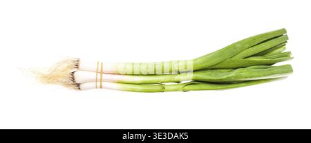 Bunch of young green spring garlic against white background Stock Photo