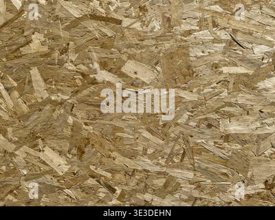 Close-up of oriented strand board (OSB) panel showing compressed wood chips and flakes bonded together. Natural wood texture background widely used Stock Photo