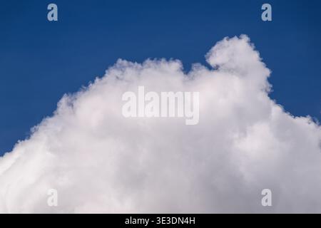 Large, fluffy white cloud against deep blue sky. Soft, cotton-like texture contrasts vividly with clear background. Ideal for weather, travel, or natu Stock Photo
