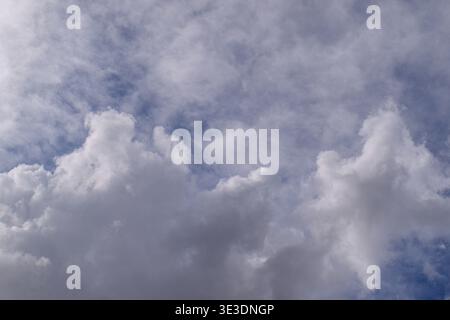 Dense, fluffy white clouds float against a bright blue sky. Soft, billowy formations suggest calm, peaceful weather. Ideal for backgrounds in travel, Stock Photo