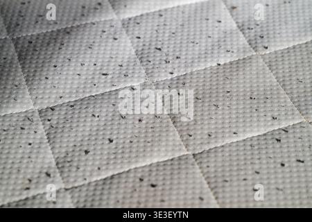 White quilted fabric with grid pattern and small black specks scattered across the surface showing texture and design details. Stock Photo