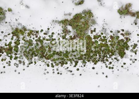 Melting Snow with Dripping Roof Water Creating Abstract Ice Patterns on Ground. High quality photo Stock Photo