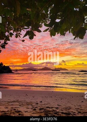 Sunset at La Severe beach in Seychelles La Digue island. Stock Photo