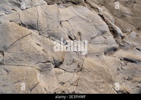 Unique Cracked Rock Texture at Cape Inamuragasaki in Kamakura Japan Stock Photo