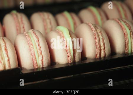 Pink macarons lined up in a display case in a bakery Stock Photo