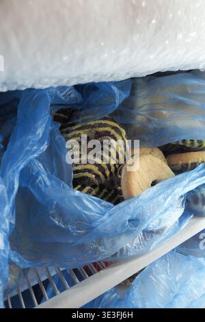 Colorful stuffed donuts in a blue plastic bag in a fridge Stock Photo