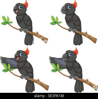 Vector illustration of black cockatoo with orange crest, four poses, cartoon style, white background Stock Vector
