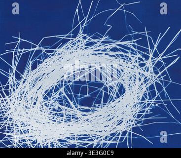 A nest of straw made in cyanotype technique Stock Photo
