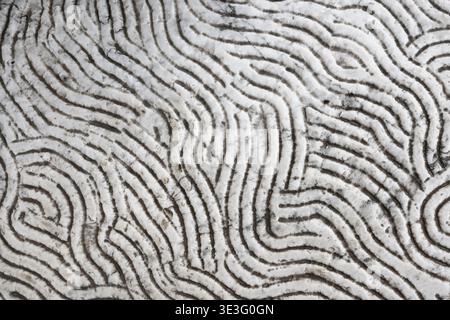 Distressed marble surface with organic wavy carved patterns, dirt and patina creating abstract architectural stone texture background, top view Stock Photo