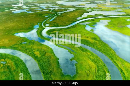 Spring colors in the Alaskan arctic tundra near Selawik Lake, Northwest Arctic Borough Stock Photo