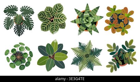 Set of colorful house plants top view Stock Vector