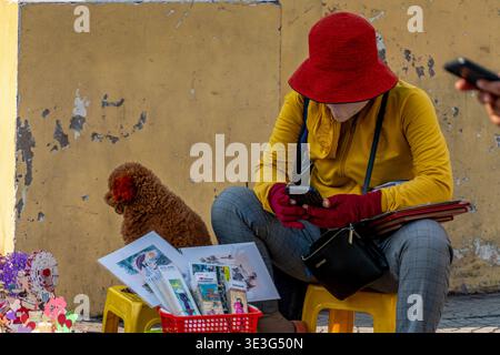 Woman in red hat sits on yellow stool. She wears yellow sweater and red gloves. Small brown poodle rests beside her. She holds phone, looks at screen. Stock Photo