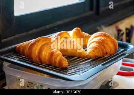 Golden croissants rest on a cooling rack. Freshly baked pastries glow with crisp texture. Sunlight streams through a nearby window. Warm, inviting bre Stock Photo