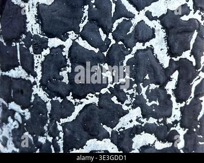 Abstract black and white textured surface with irregular organic pattern Stock Photo