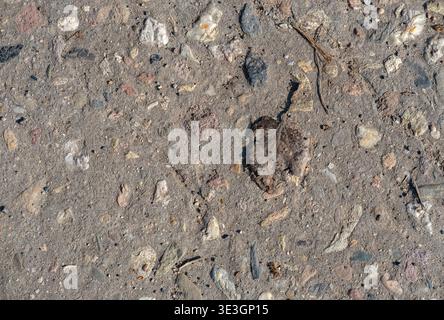 Rough ground surface with embedded stones and debris is shown as natural textured background Stock Photo
