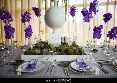 Modern wedding reception table with orchid and succulent centerp Stock Photo
