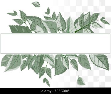 Modern Botanical Square Frame Minimalist Dusty Sage Green Leaves for Organic Skincare Branding, Wellness Identity and Wedding Invitations. Clean Paths Stock Vector