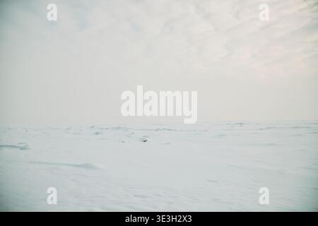 Snow covered landscape stretching under cloudy sky, showing untouched surface with subtle snowdrifts and distant horizon, no people or objects visible in scene Stock Photo