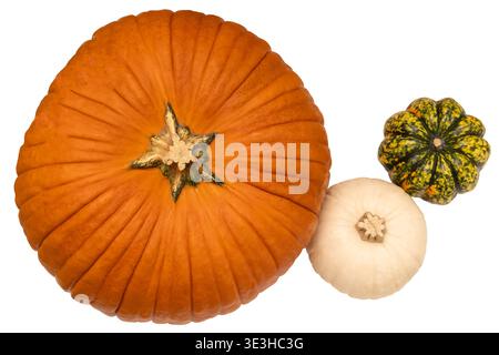 Group of pumpkins and gourds arranged together on a white background. There is a large orange pumpkin and two smaller gourds in white and green colors Stock Photo