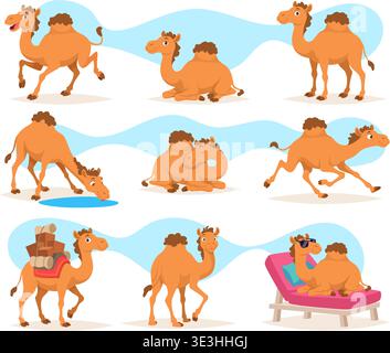 Camels. Desert domestic animals cartoon cute camel as characters exact vector templates Stock Vector