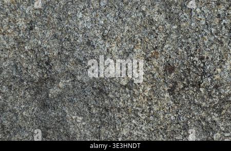 Speckled granite surface in neutral gray tones with fine natural grain, suitable for clean backgrounds, architecture themes, and stone texture design Stock Photo