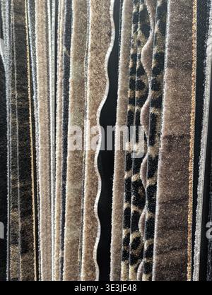 Closeup Neutral Rug Stripe And Print Showing Soft Pile Detail, Tonal Beige And Brown Bands, Subtle Leopard Motif, Vertical Fold Shadows, Cozy Interior Stock Photo