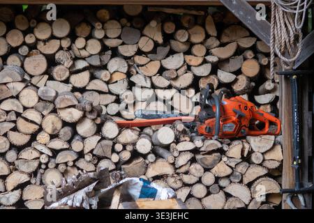 An orange chainsaw lies on a neatly stacked pile of chopped firewood inside a rustic shed, evoking rural homestead life, winter heating preparation an Stock Photo
