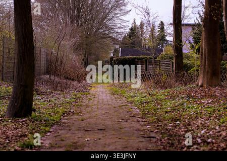 A narrow, weathered brick path winds through a quiet, overgrown garden area Stock Photo