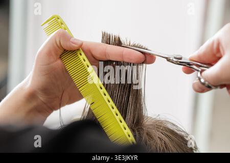 Hairdresser trims wet hair using scissors and comb during a haircut. Detail of hands and hair sectioning in salon, grooming service, hygiene, and care Stock Photo