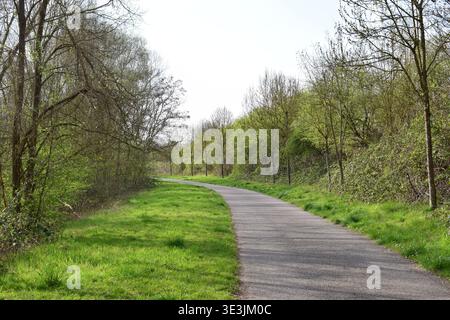 road for bikes and pedestrian in a park during spring Stock Photo