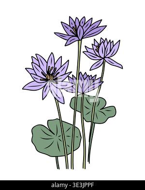 Hand drawn water lily colored with outline Stock Vector