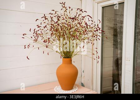Decorative bouquet of great burnet flowers standing in terracotta vase on pink wooden table near window with white frame, creating cozy atmosphere in rustic interior Stock Photo