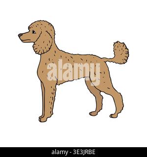Vector hand drawn sketch doodle colored poodle dog Stock Vector