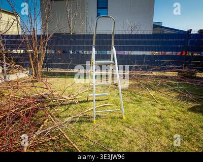 Pruned trees in private yard during spring with cut branches stacked, seasonal garden maintenance and backyard landscaping scene Stock Photo