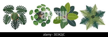 Set of house plants top view isolated on white  Stock Vector