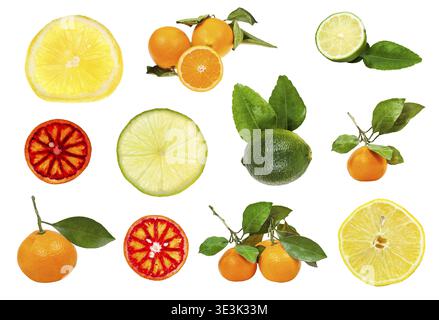 Thin slice of fresh lemon, isolated backlit on white background Stock Photo
