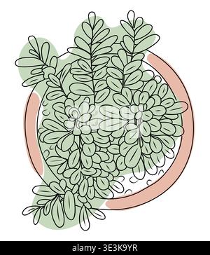Succulent in a pink flower pot, viewed from above Stock Vector