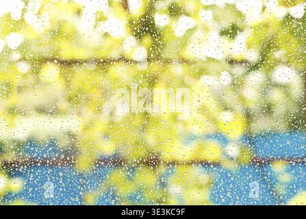 Raindrops on window glass after summer rain background Stock Photo