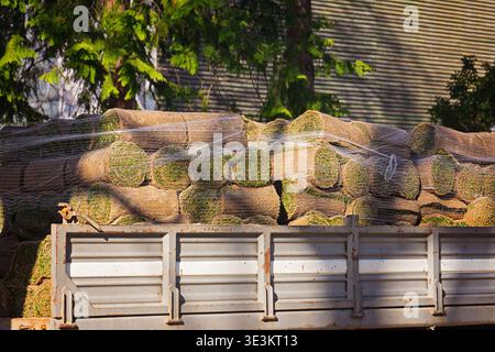 Turf rolls stacked on truck bed beside sunlit garden wall Stock Photo