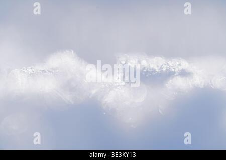 Delicate winter ice texture sparkles vibrantly in the light. The soft blue sky provides a serene backdrop to the intricate, frozen patterns, creating Stock Photo