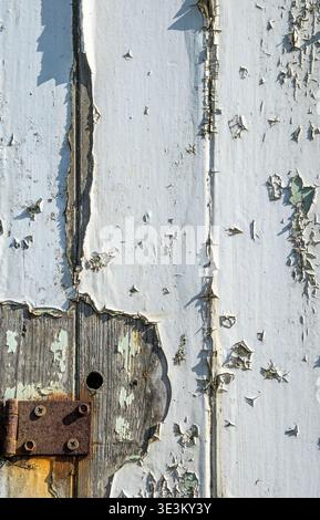 Close-up of weathered wooden boards with peeling white paint creating a clean rustic background texture. Stock Photo