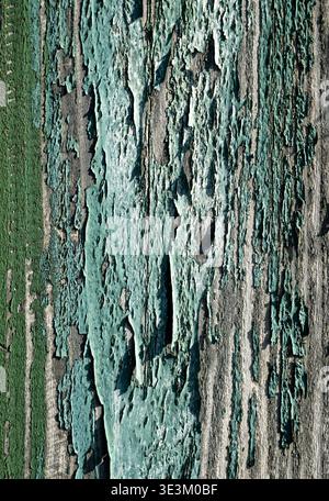 Distressed green painted wood planks with heavy peeling texture rustic weathered timber background Stock Photo