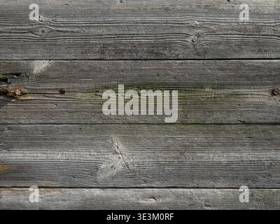 Close-up of weathered wood with soft tones and organic grain patterns. Stock Photo
