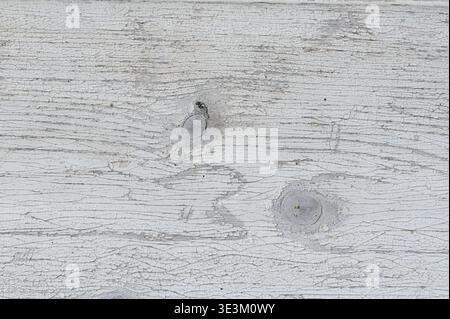 Light weathered wooden surface with cracked paint texture, abstract neutral background for design, minimal rustic pattern, aged material with natural Stock Photo