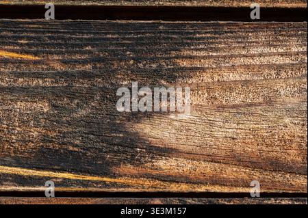 Dark brown wooden planks with strong grain texture and natural pattern, rustic abstract background, aged wood surface for design, premium organic mate Stock Photo