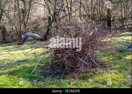 Pile of wood prepared for burning in old garden fireplace, rustic outdoor scene, concept of energy, preparation, resource use and traditional countrys Stock Photo