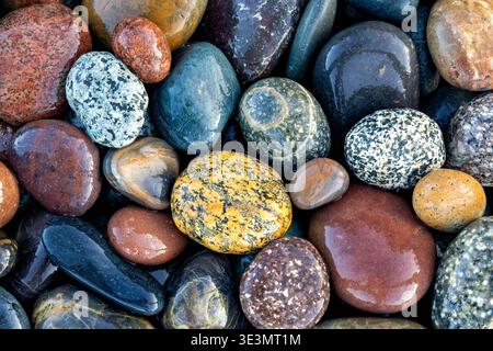 Colorful rocks patterns on French Beach - French Beach Provincial Park - near Sooke, Vancouver Island, British Columbia, Canada Stock Photo